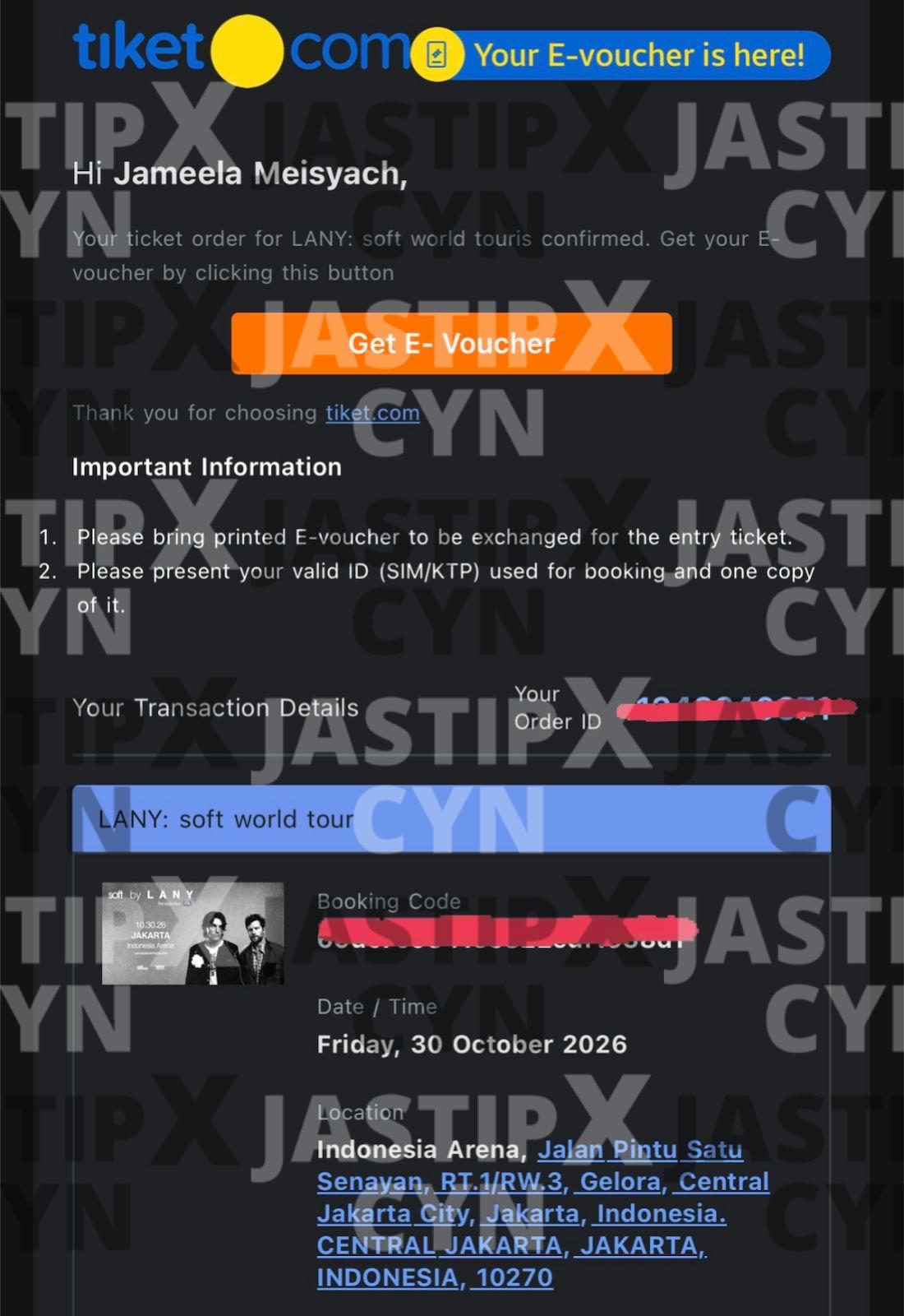 LANY Soft Tour Cat 1